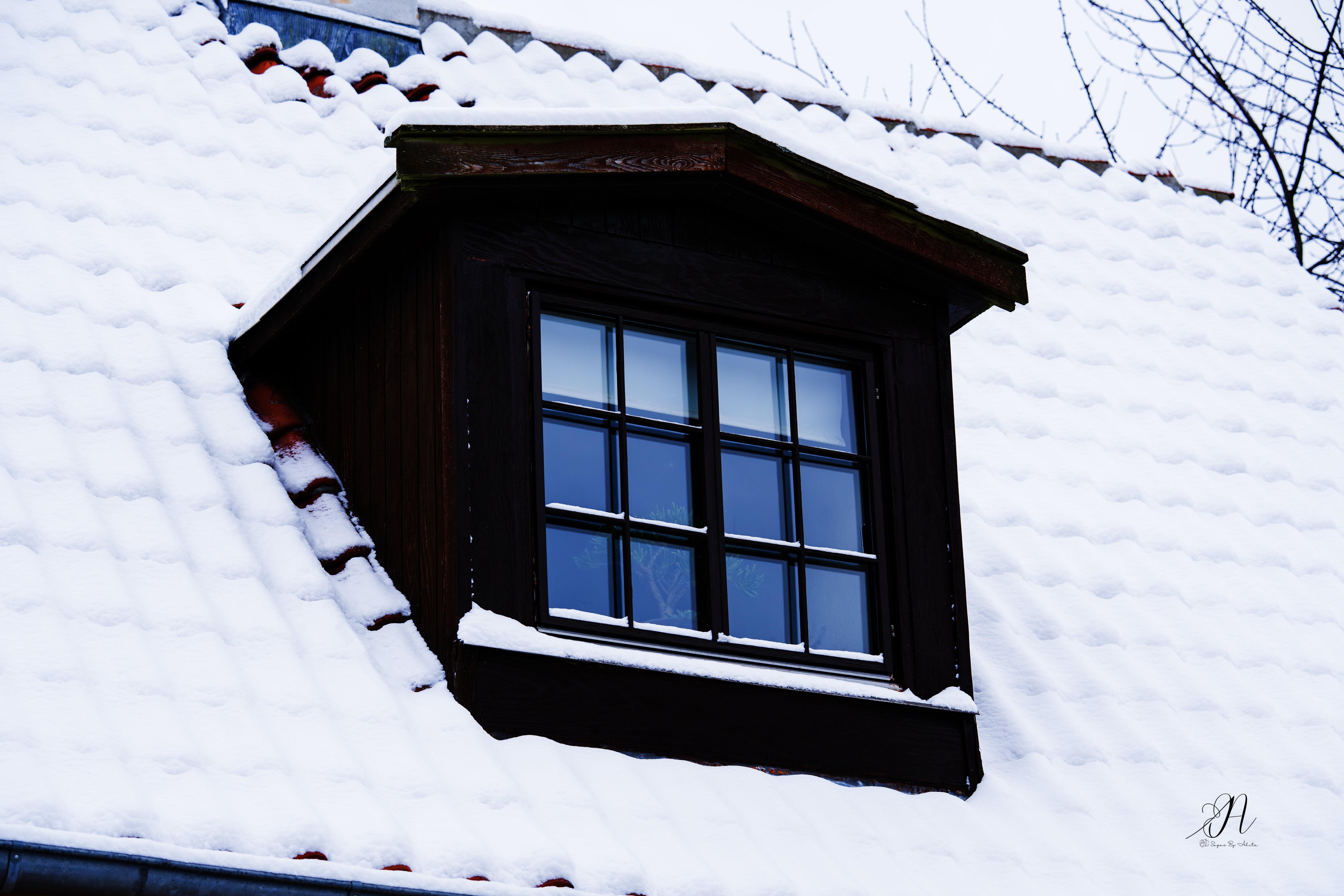 roof filled with Snow